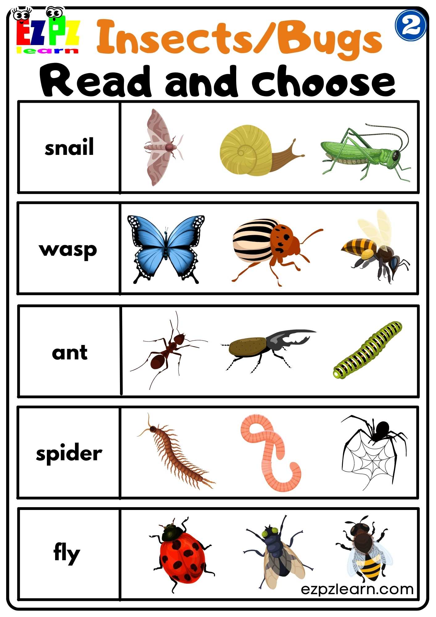 Group 2 Insects and Bugs Read and Choose Worksheet PDF Download For Homeschool and ESL Students